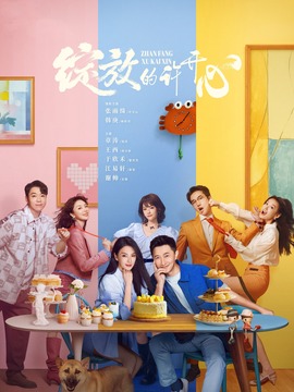 绽放的许开心封面图